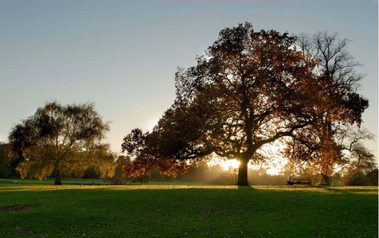 Verulamium Park-5