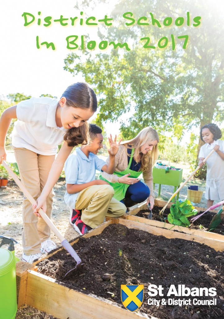 St Albans City and District Council A1 Taxis Blog