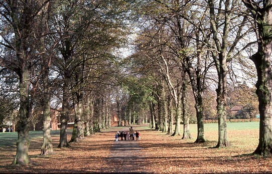 Parks in St Albans