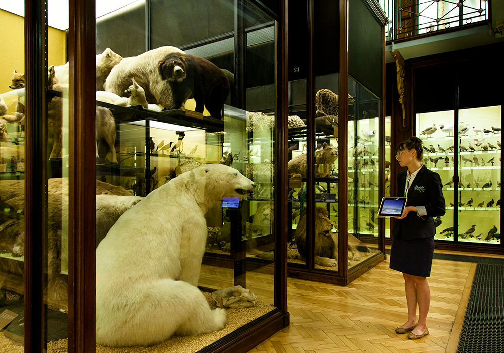 Natural History Museum at Tring